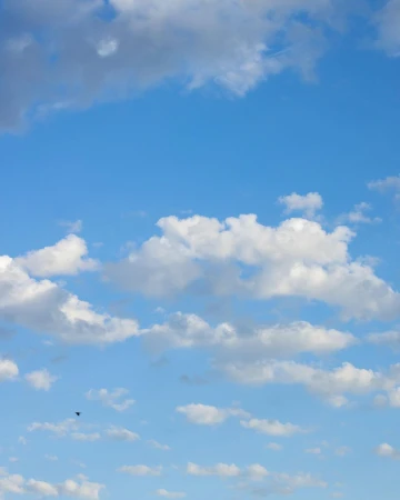 Vast blue sky filled with fluffy white clouds on a sunny day, with a small black bird flying in the distance. Serene and peaceful.