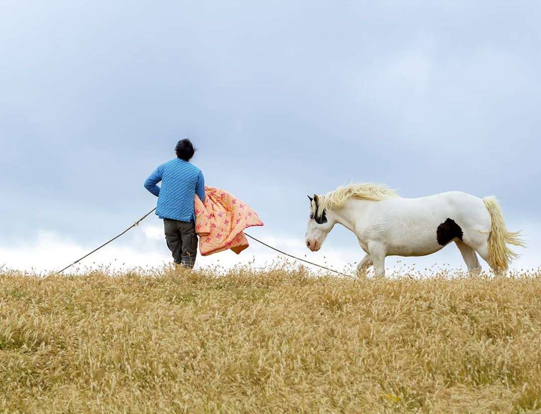 Woman leads a white horse through a grassy field under an overcast sky, holding a blanket, in an outdoor, rural setting.