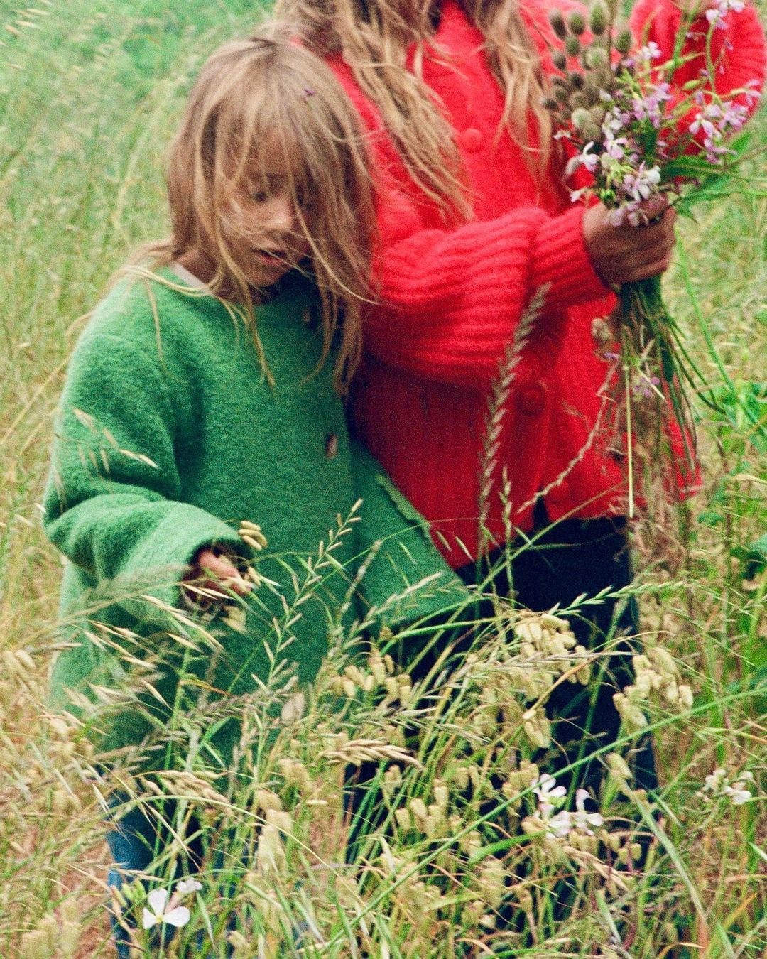 Two children stand in a field of tall grasses. One wears a green cardigan, the other a red one, and they are holding flowers.