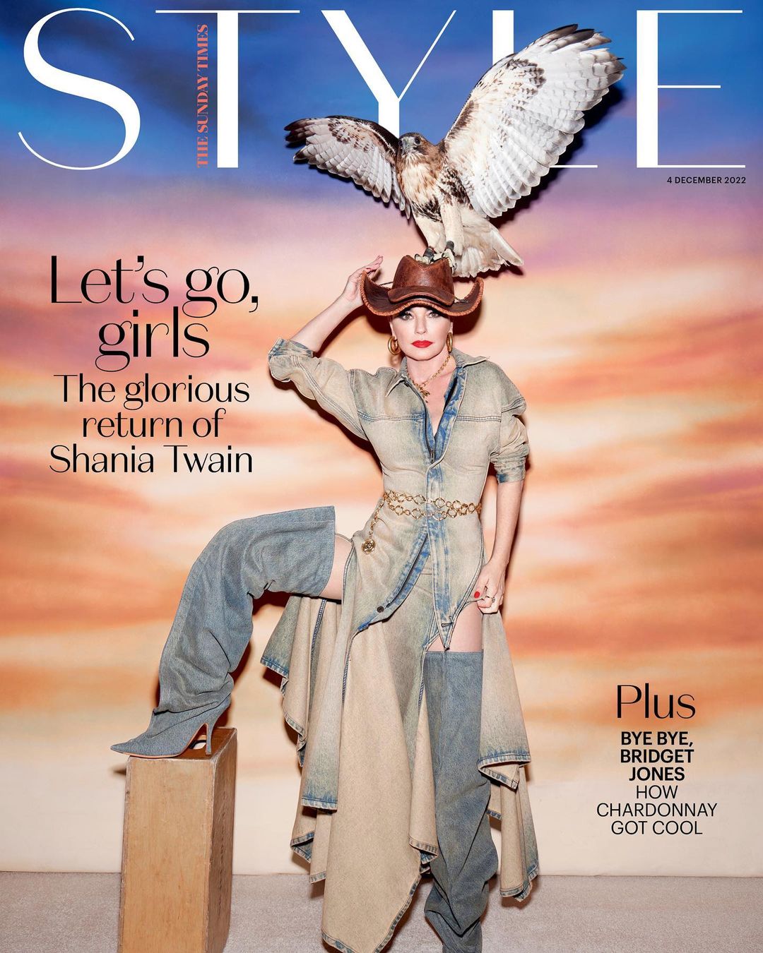 Magazine cover featuring Shania Twain in denim outfit with a hawk perched on her cowboy hat against a sunset-colored background.
