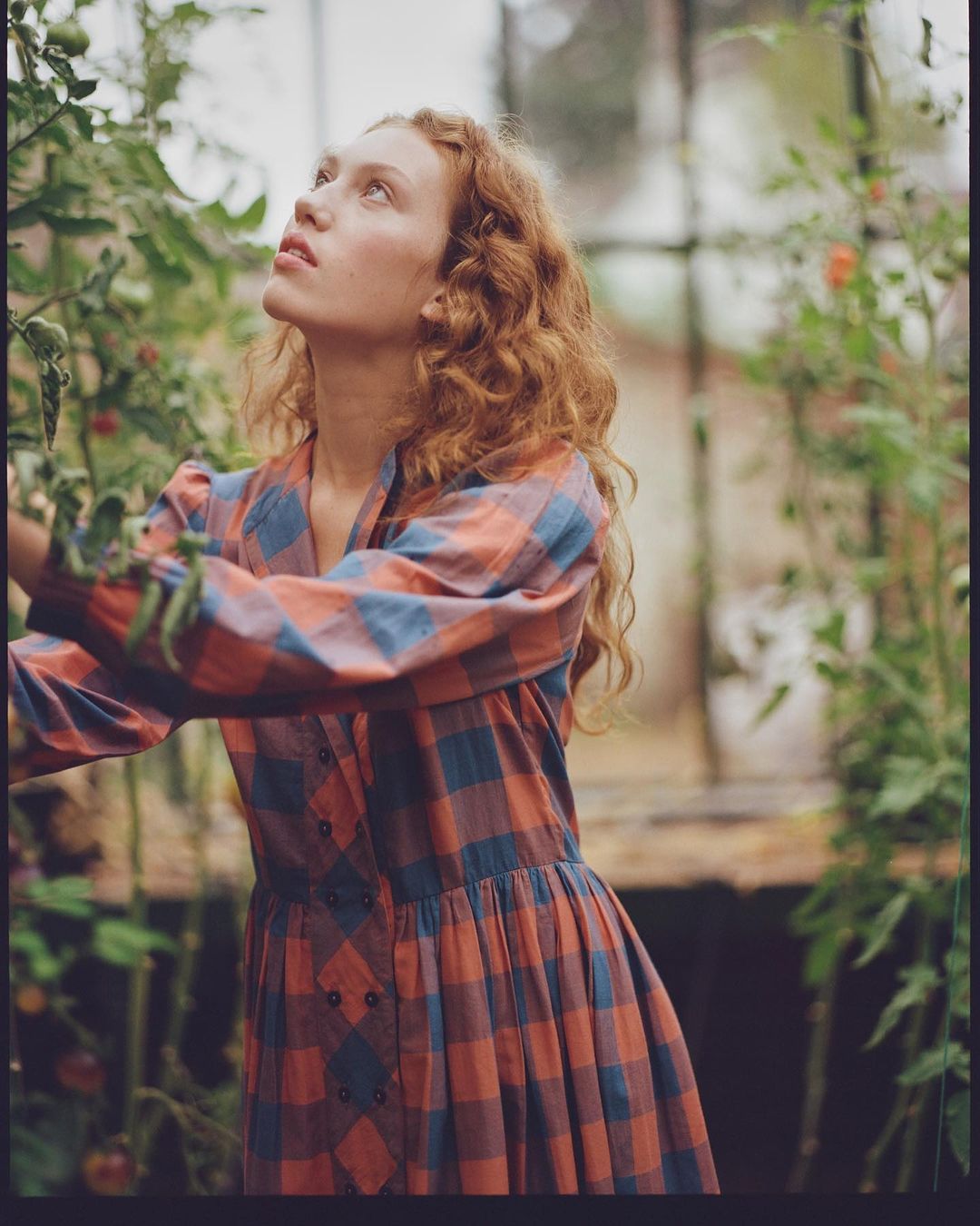 Young woman with curly red hair in a red and blue plaid dress is looking up in a greenhouse surrounded by tomato plants.