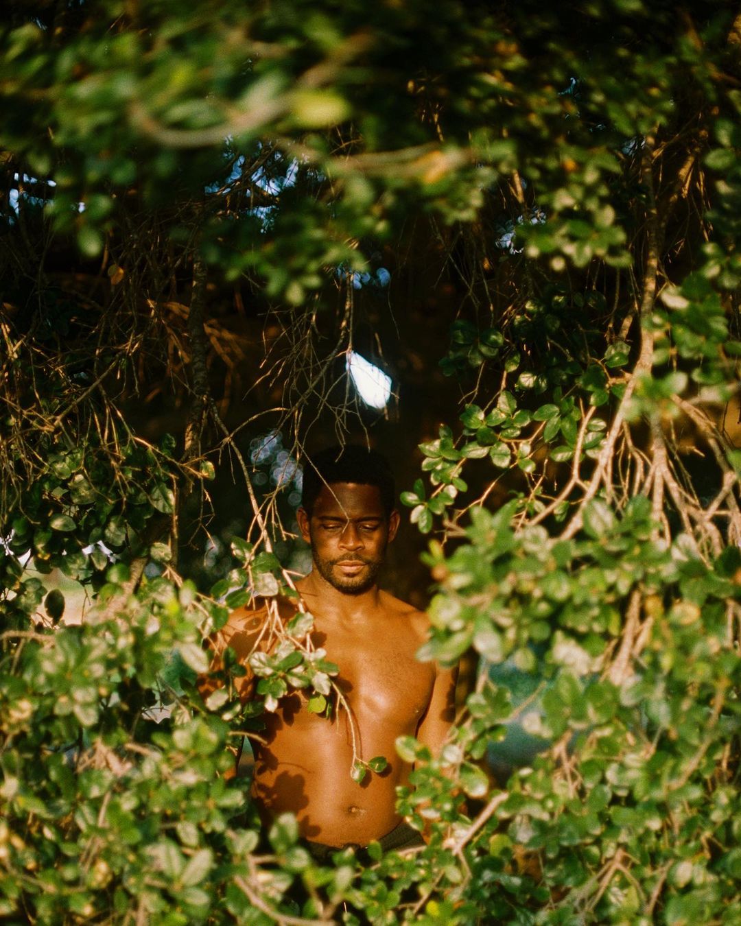 Adult man with brown skin, partially shirtless, standing outdoors surrounded by a tree with green leaves in natural lighting.