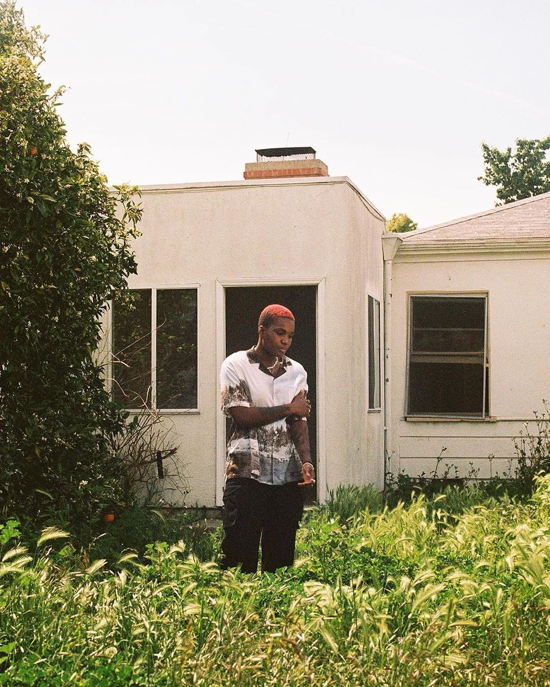 A young adult male with pink hair stands in an overgrown yard near a white house on a sunny day, showcasing an outdoor portrait.