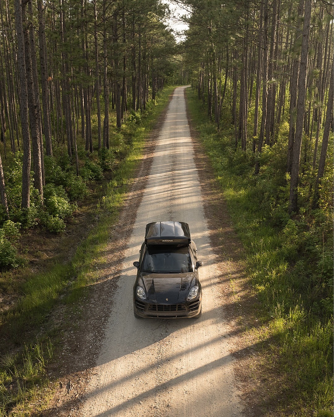 Black SUV with roof rack driving on a dirt road through a forest with tall trees and dappled sunlight creating shadows on the path.