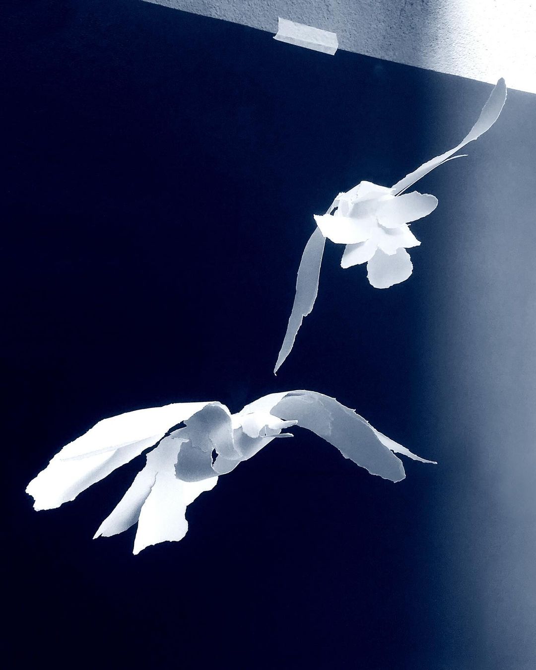 Two white paper birds fly against a dark blue background. Minimalist studio shot of crafted objects, shadows, and simple paper materials.
