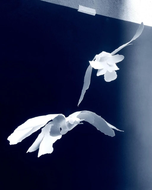 Two white paper birds fly against a dark blue background. Minimalist studio shot of crafted objects, shadows, and simple paper materials.