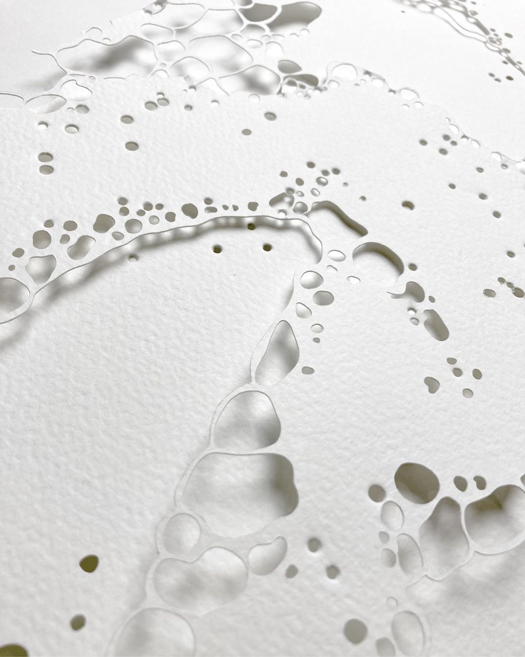 Abstract paper art featuring intricate cutout designs creating organic, bubble-like forms on a white background.