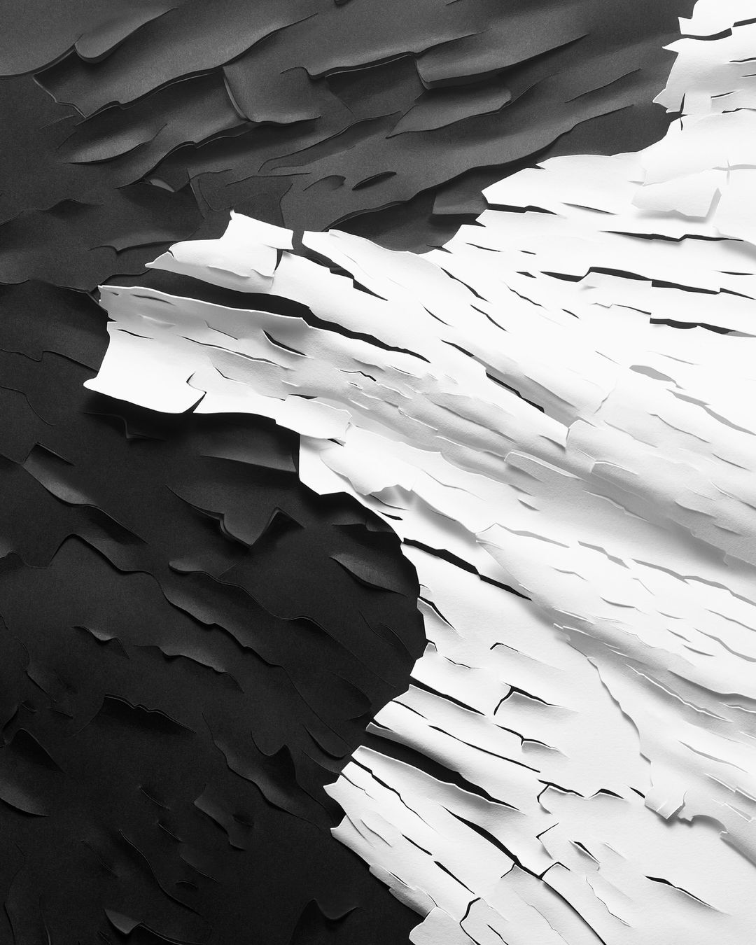 High-contrast abstract of flaking paint in black and white, creating a textured surface with shadows and highlights.