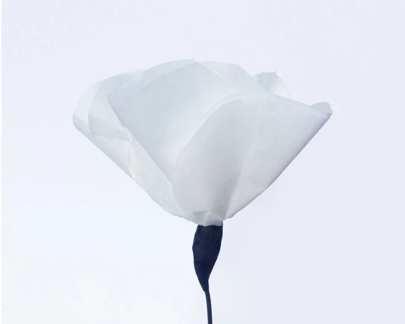 Close-up studio shot of a single white flower with a dark stem against a gradient white backdrop. The flower has delicate, paper-like petals.