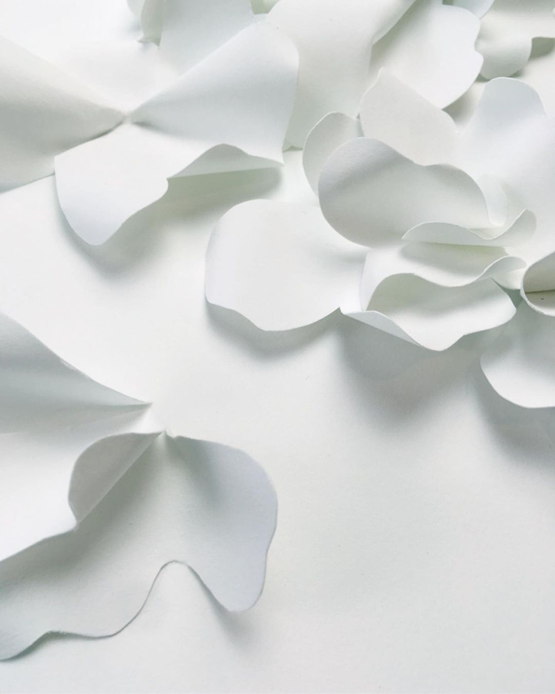 Close-up studio shot of white abstract floral paper art with petal layers and depth. Monochromatic flower design on white backdrop.