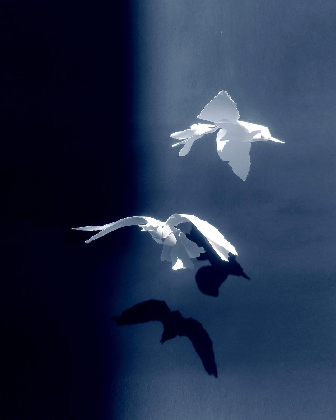 Two white paper birds fly against a dark blue background, casting a shadow of a bird flying below, minimalist, simple presentation.
