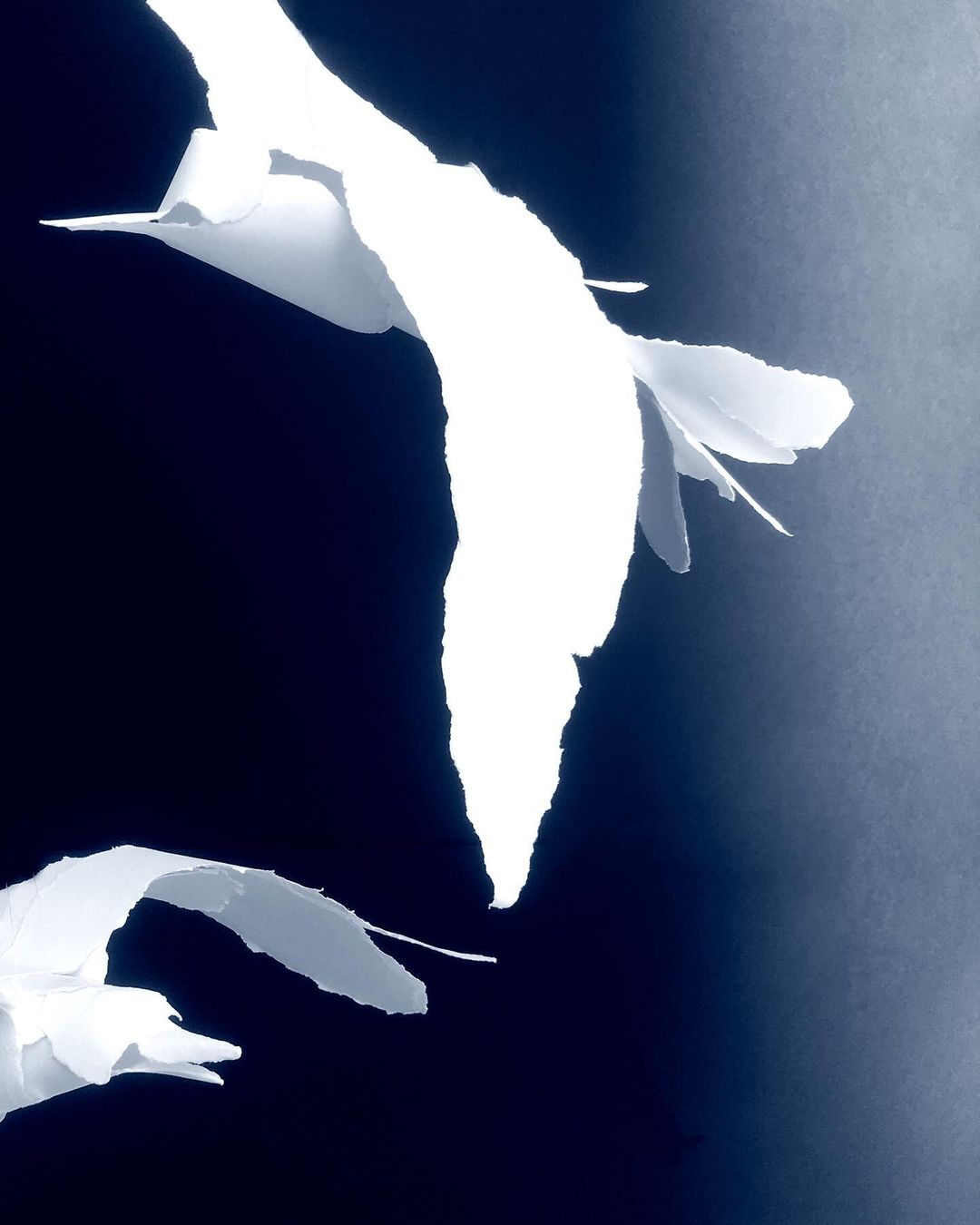 Abstract paper art featuring two white stylized birds in flight against a dark blue background with diffused lighting.