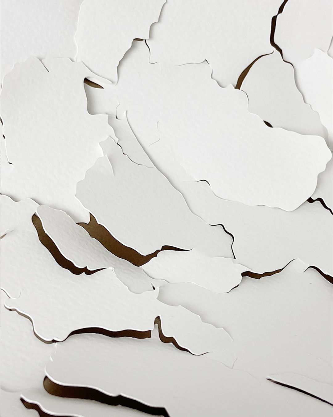 Abstract art piece featuring layered, cut-out shapes of white paper or material, creating a textured, three-dimensional effect on a neutral background.