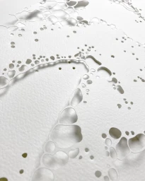 Close-up of layered white paper art featuring intricate cutouts and organic circular shapes by Cloé Vriet.
