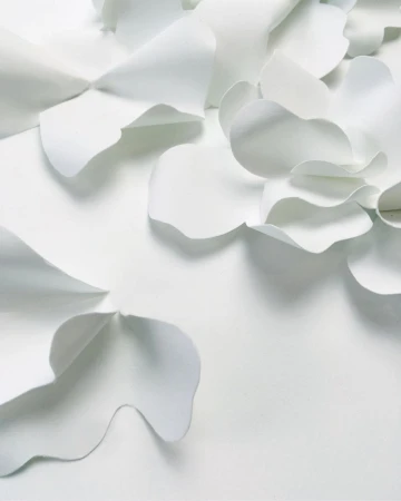 Close-up of layered white paper sculpture with curved petals created by illustrator Clo Vriet