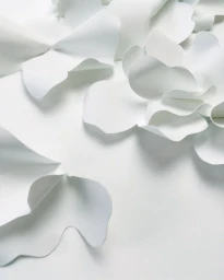 Close-up of layered white paper sculpture with curved petals created by illustrator Clo Vriet