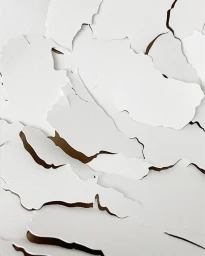 Close-up of layered white paper art cutouts creating abstract dimensional shapes with soft shadows.