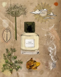 Illustrated perfume bottle centered on textured brown paper with botanical elements, sun, and amber stone