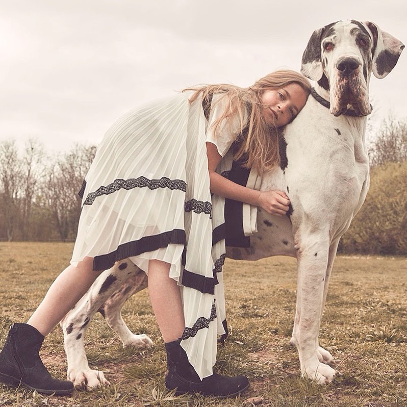 Woman in a white dress leans against a large Great Dane dog in a grassy field with trees in the background on a cloudy day.
