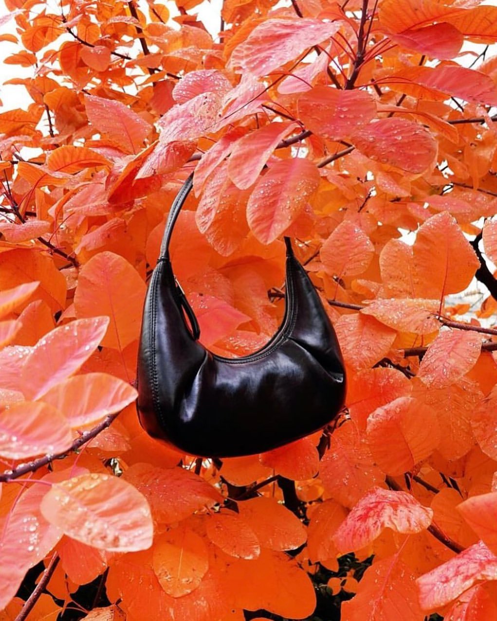 A stylish black handbag is prominently displayed against a vibrant background of orange leaves, creating a striking contrast.