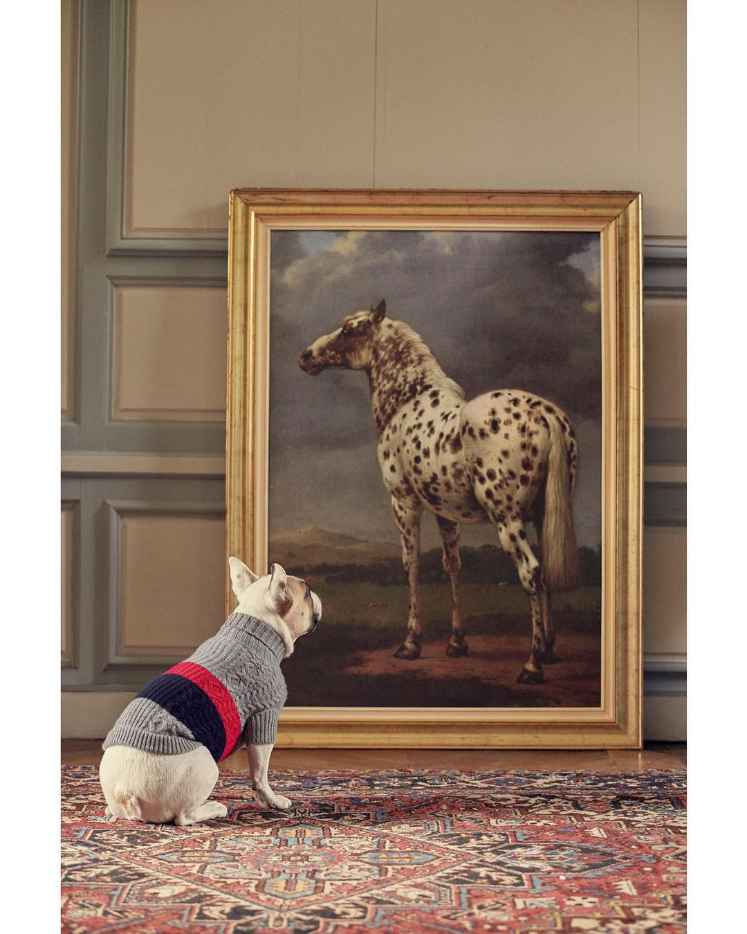 French bulldog wearing a sweater seated in front of a horse painting on an ornate rug indoors with neutral-toned walls.