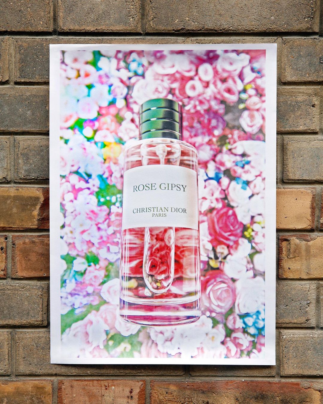 Rose Gipsy by Christian Dior advertisement features a perfume bottle against a backdrop of pink flowers and a brick wall.