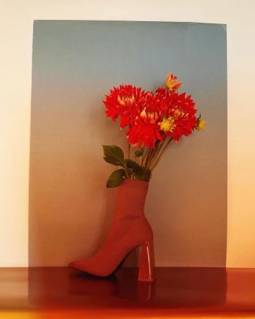 Still life of red dahlia flowers arranged inside a red sock-like boot with a heel, set against a gradient grey to orange background.