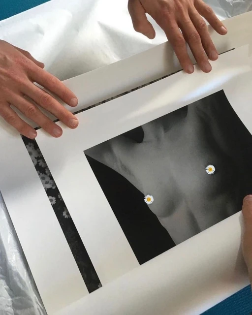Hands hold an art print with a close-up black and white image of a chest with daisies over the nipples and a strip of flowers.