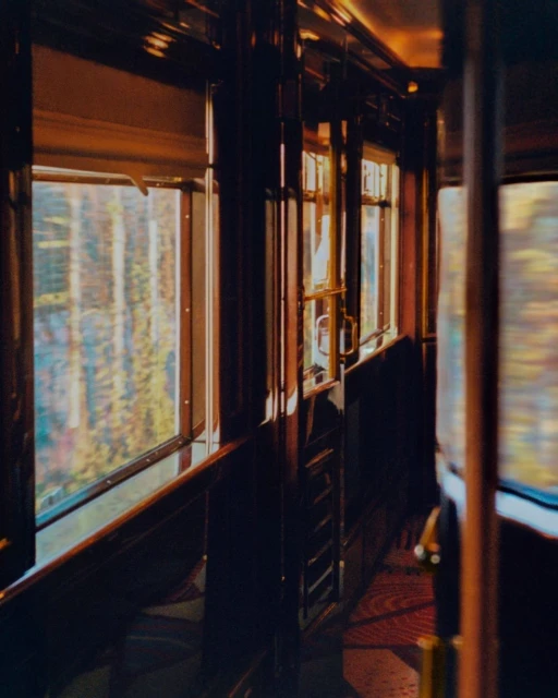 Vintage train car interior featuring wood paneling, brass accents, and window views of a forest with golden light.