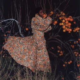 Black woman in a patterned floral coat picking bright orange fruit from a tree at night by photographer Coco Capitan.