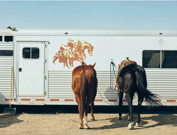 Two horses stand in front of a white horse trailer with a western-themed graphic in a sun-drenched outdoor setting with a blue sky.