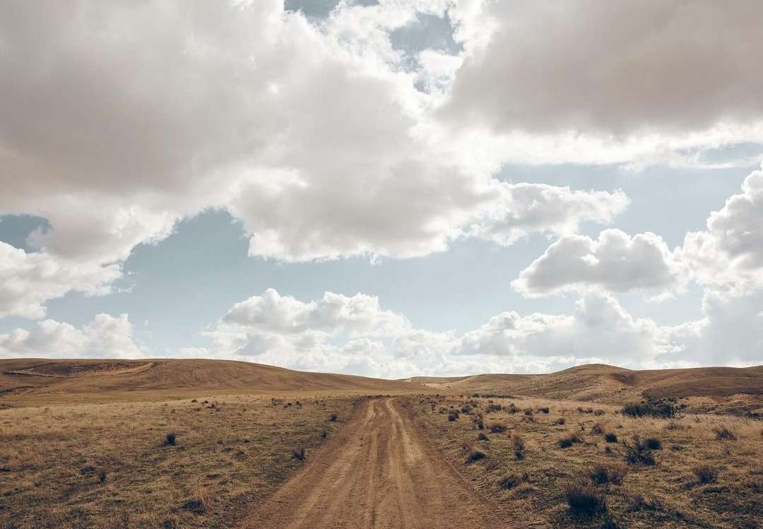 Dirt road stretches through a vast, undulating field under a sky filled with soft, fluffy clouds on a bright day.