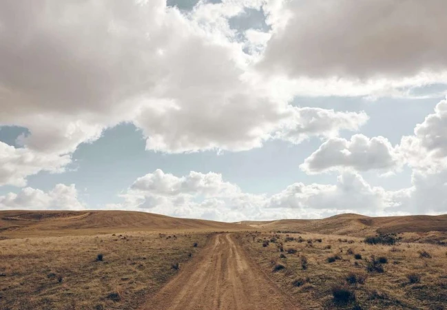 Dirt road stretches through a vast, undulating field under a sky filled with soft, fluffy clouds on a bright day.