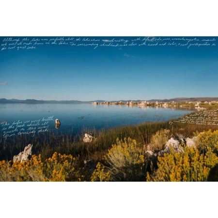 Landscape photograph of a calm blue lake with distant mountains and yellow wildflowers in the foreground under a clear sky.