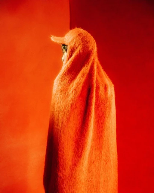 Person wearing an orange, furry, hooded cape in a portrait against a two-tone orange backdrop. Fashion or editorial photography.