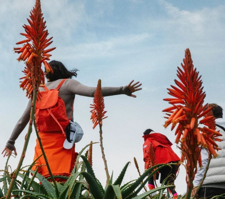 Woman in orange skirt and backpack stands in a field of tall orange aloe flowers on a sunny day, facing away from the camera.