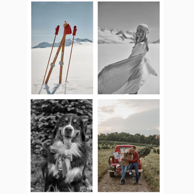Collage of seasonal winter scenes: snow-covered mountain with skis, woman in shawl, dog with bow, and couple by red pickup truck.