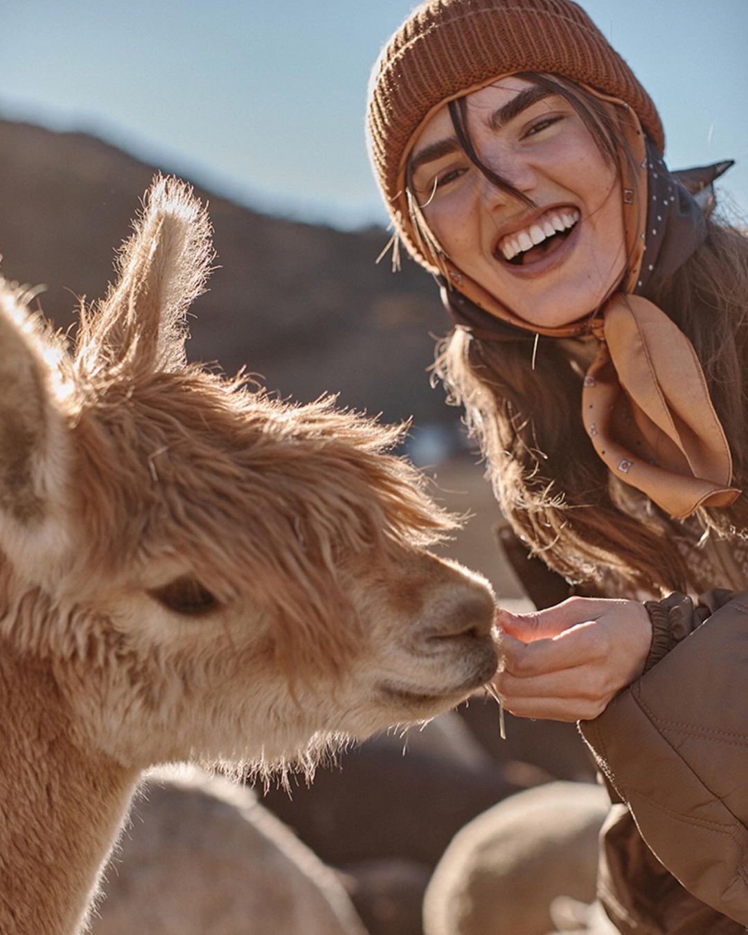 Happy woman interacts with an alpaca in a sunny outdoor setting. The woman is wearing a beanie and scarf, smiling with mountain backdrop.