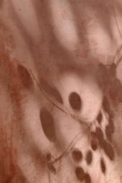 Abstract background with leaf shadows and mottled texture in beige and brown tones creating a calming, neutral, organic visual.