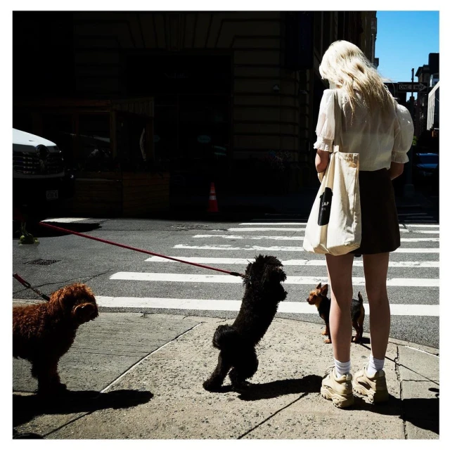 Back view of woman with three dogs on leashes crossing street. Light beige tote bag slung on her shoulder in daytime outdoor setting.