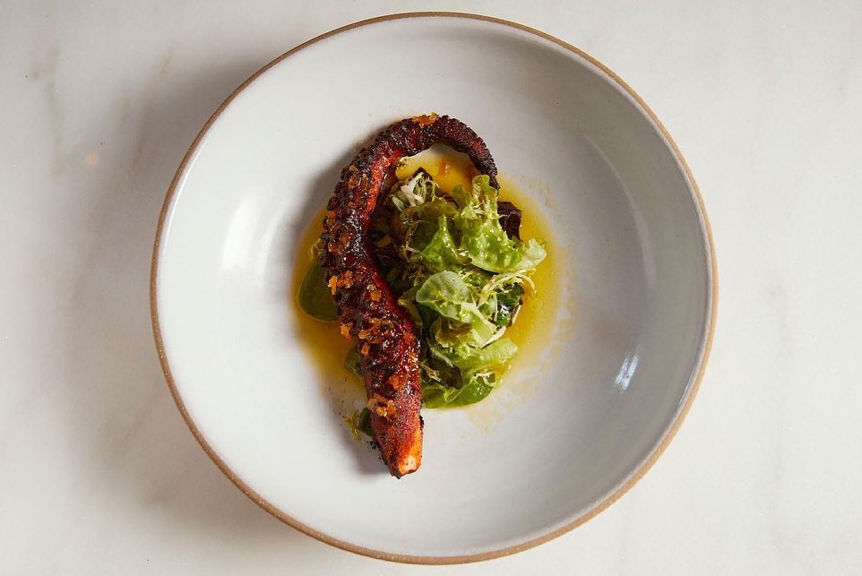 Overhead shot of grilled octopus tentacle with chopped salad on a white plate, food presentation, studio lighting, fine dining.