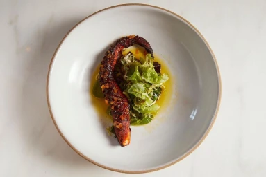 Grilled octopus tentacle on a bed of fresh greens and olive oil inside a white ceramic bowl on a marble surface.