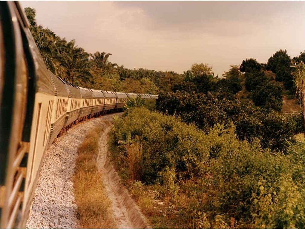 Train curving through a lush, green landscape with dense trees, foliage, and a dirt track running alongside the train tracks under a cloudy sky.
