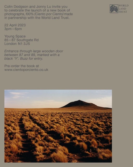 Landscape with arid grassland and a small mountain in the distance, bathed in the soft light of either early morning or late afternoon.