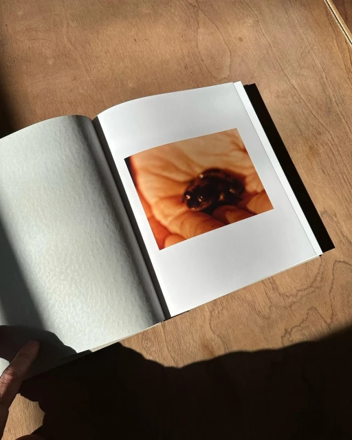 Open book on wood surface with an embedded photo print of a human hand holding an object, casting strong shadows.