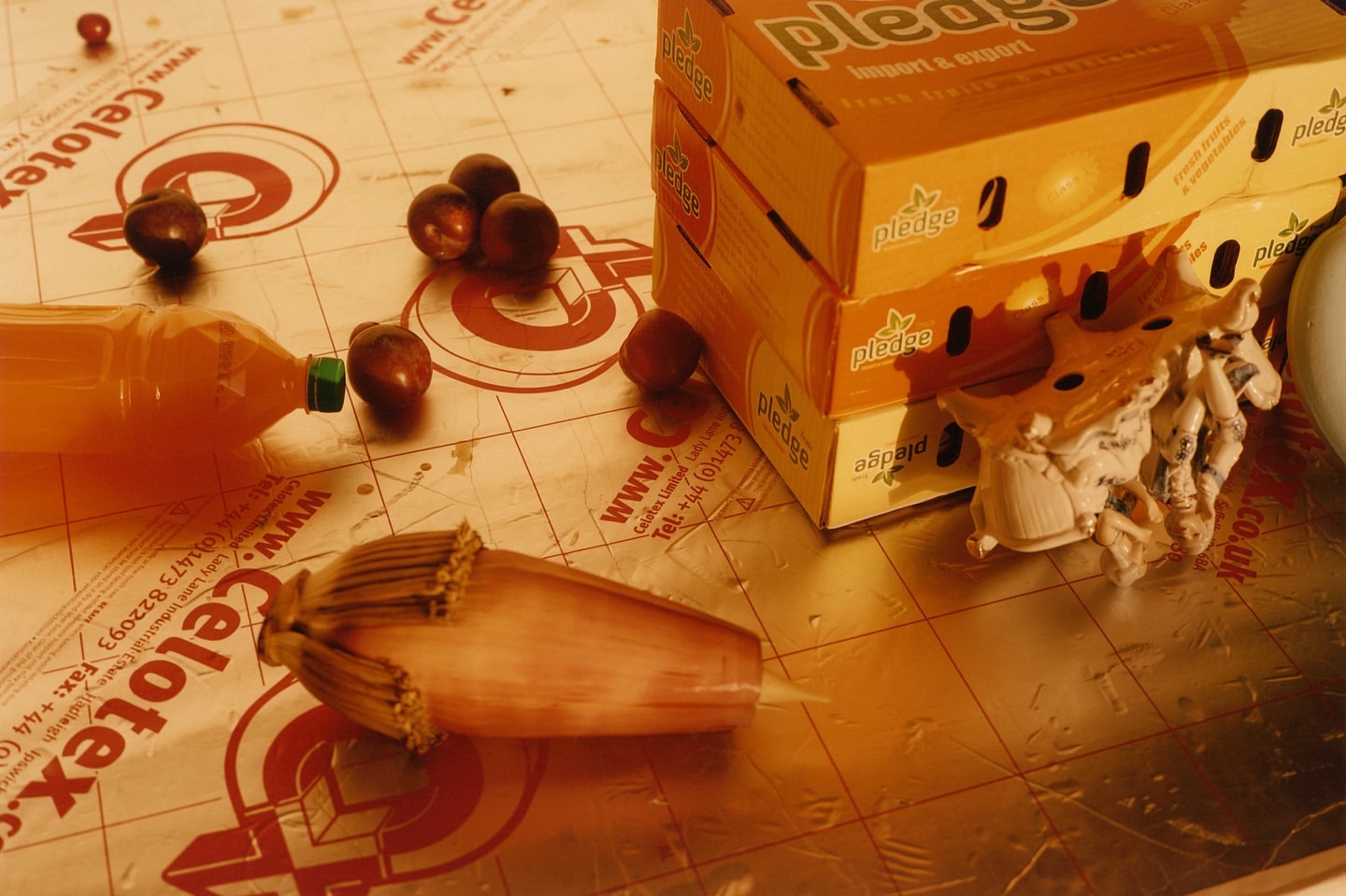 Still life featuring a bottle, fruit, Pledge boxes, and a ceramic figurine on a Celotex surface, showcasing a blend of domestic and organic elements.