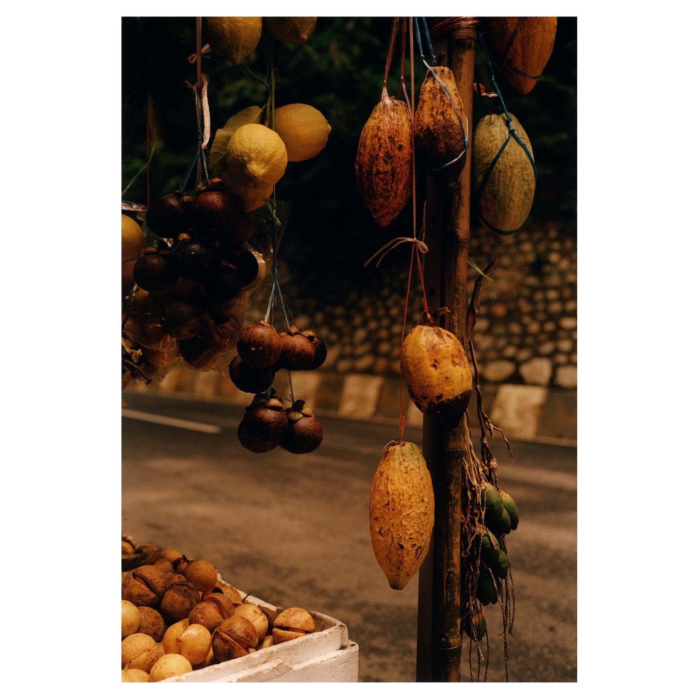 Display of lemons, mangosteens, and other tropical fruits hanging from a bamboo structure along a road, showcasing local produce.