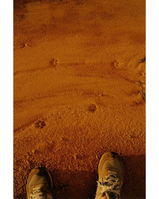 Person standing on sandy ground, eye-level, showing beige sneakers, desert landscape, golden hour lighting, and small animal tracks.