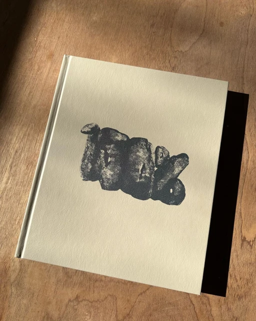 Book cover featuring a dark grey stone-like graphic on a beige textured surface, resting on a wood-grain table with shadow.