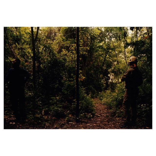 Two people stand at the edge of a dense jungle, with a narrow path leading into the depths, emphasizing adventure and nature's intensity.
